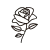 rose