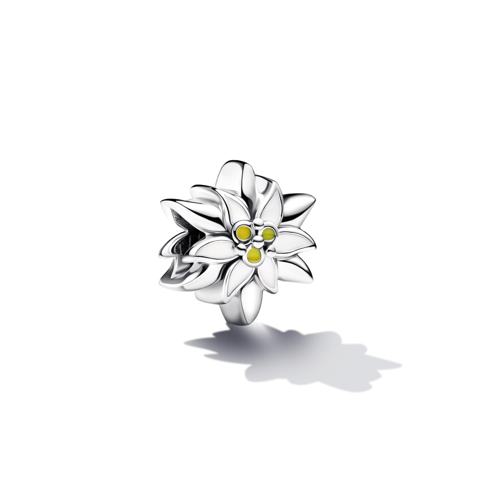 Silver Charm Edelweiss Flower Silver Charm Edelweiss Flower