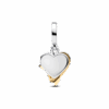 תליון כסף וציפוי זהב The One