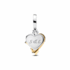 תליון כסף וציפוי זהב The One