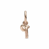 תליון רוז p
