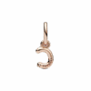 תליון רוז c תליון רוז c