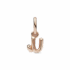 תליון רוז u תליון רוז u