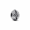 צארמ כסף Dragon Egg משחקי הכס צארמ כסף Dragon Egg משחקי הכס