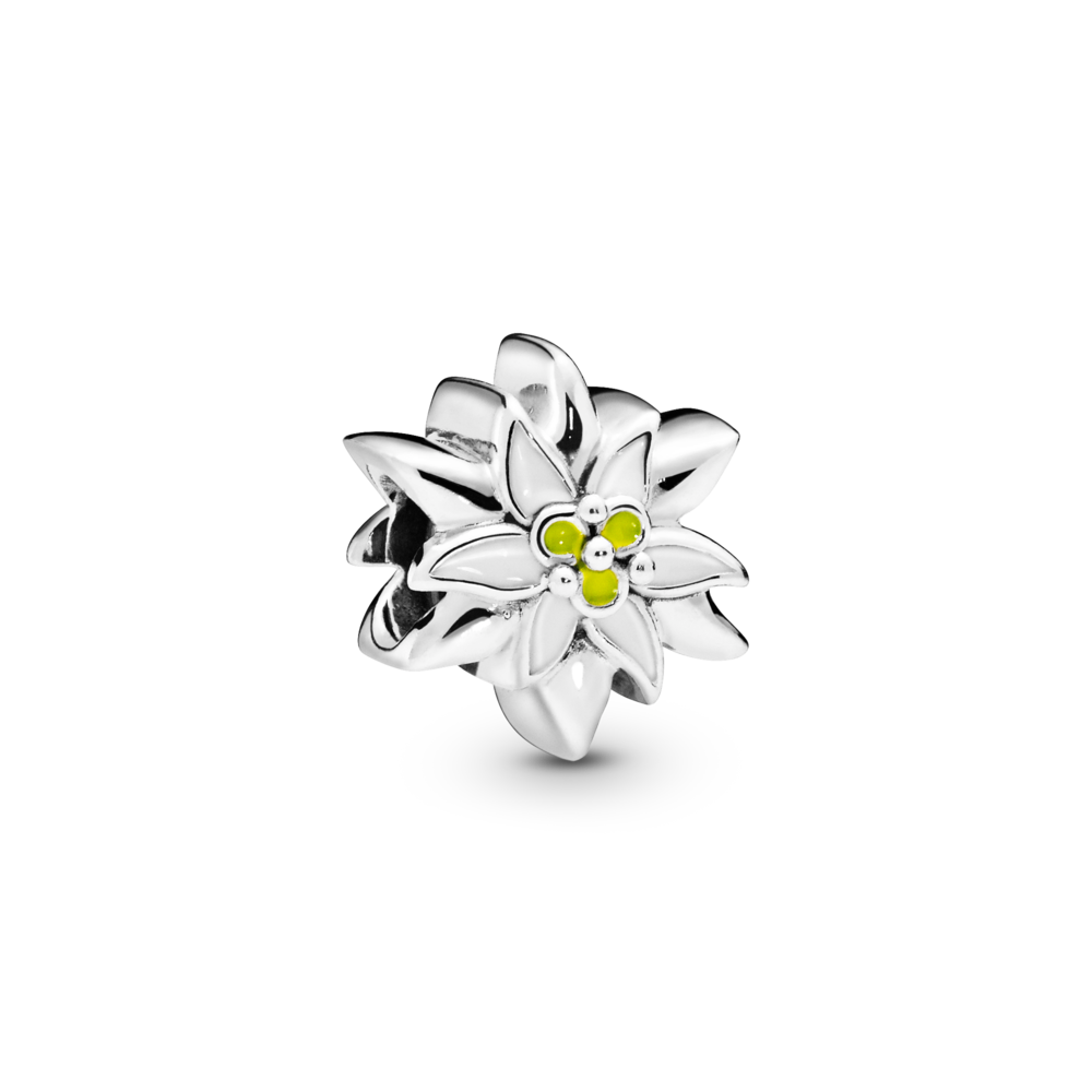 Silver Charm Edelweiss Flower Silver Charm Edelweiss Flower