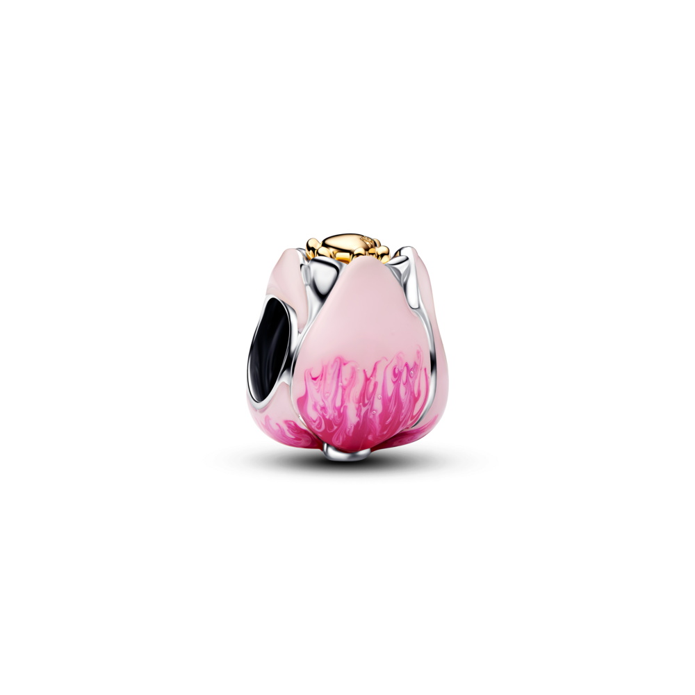 צ׳ארמ פרח טוליפ ורוד צ׳ארמ פרח טוליפ ורוד